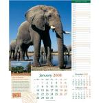 Wall Calendars