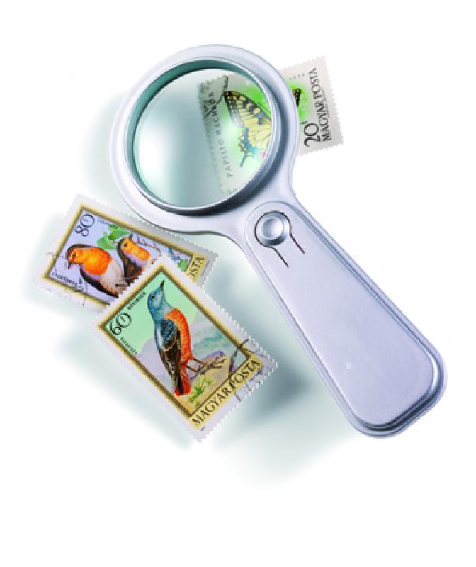 Magnifying glass (D)