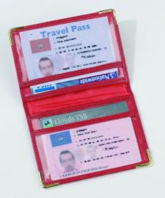 Travel Card Holder