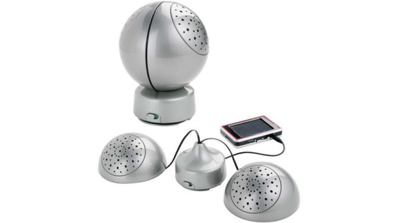 Portable Speaker System