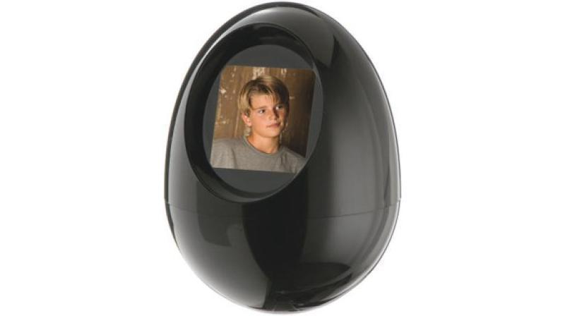 Egg Shape Digital Picture Frame