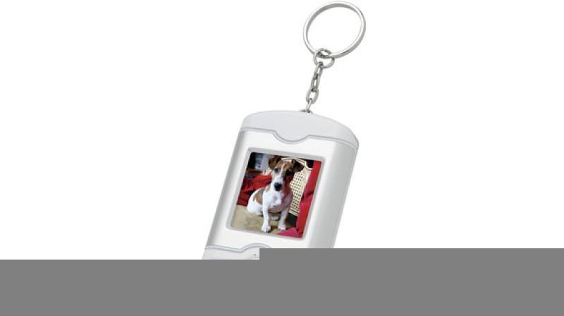 Digital Picture Viewer Key Chain