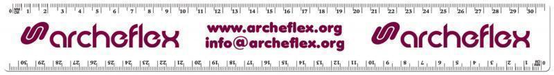 30cm Ruler