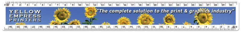 12/30cm Inch Ruler