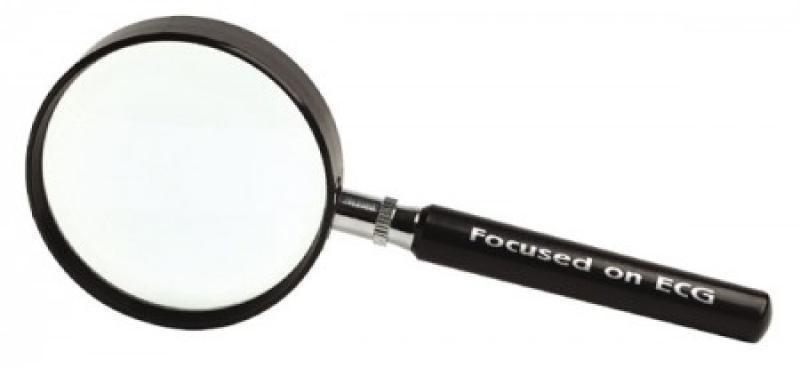 Hand Held Magnifier