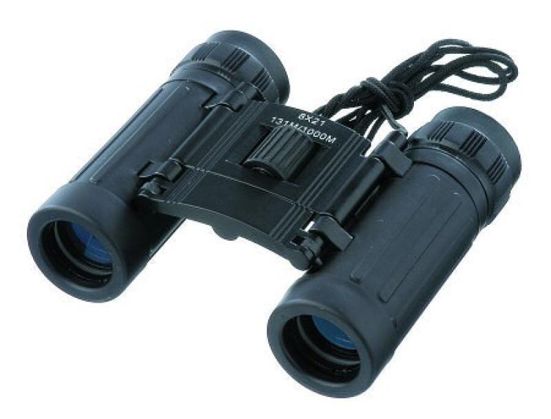 Rubber Cased 8 x 21 Binoculars