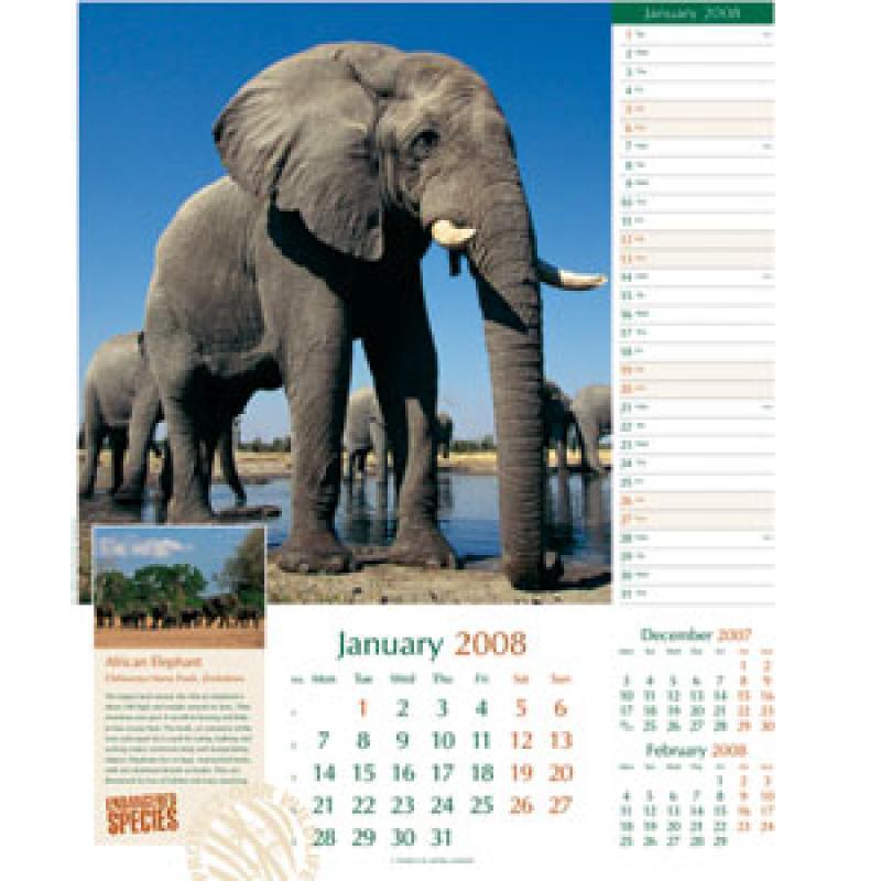 Endangered Species Wall Calendar