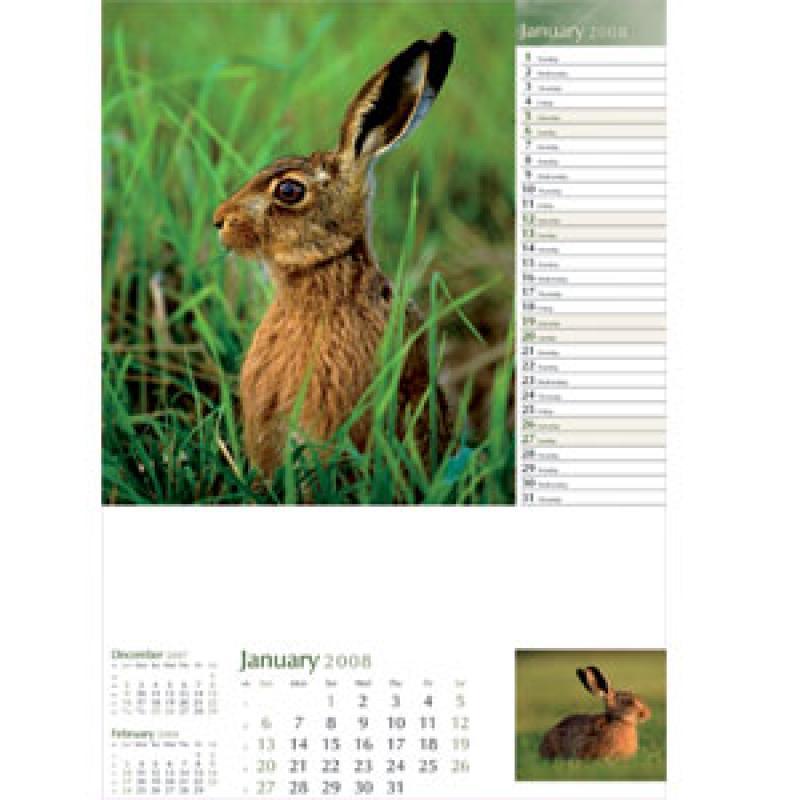 Wildlife in Britain Calendar